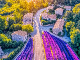 Produktbild: CALVENDO Puzzle Stra&szlig;e durch Lavendelfelder am Dorf | 1000 Teile Lege-Gr&ouml;&szlig;e 64x48cm Foto-Puzzle f&uuml;r gl&uuml;ckliche Stunden