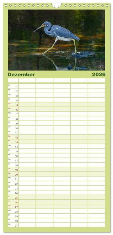 Produktbild: Familienplaner 2026 - Blaureiher und Dreifarbenreiher mit 5 Spalten (Wandkalender, 21 x 45 cm) CALVENDO