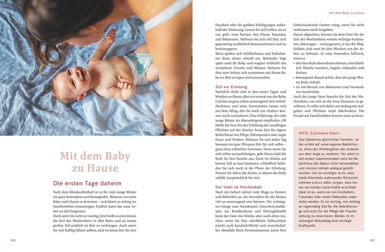 Produktbild: Das große Buch zur Schwangerschaft