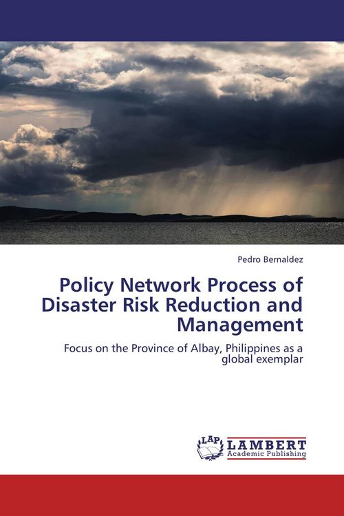Produktbild: Policy Network Process of Disaster Risk Reduction and Management