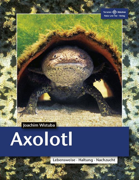 Produktbild: Axolotl