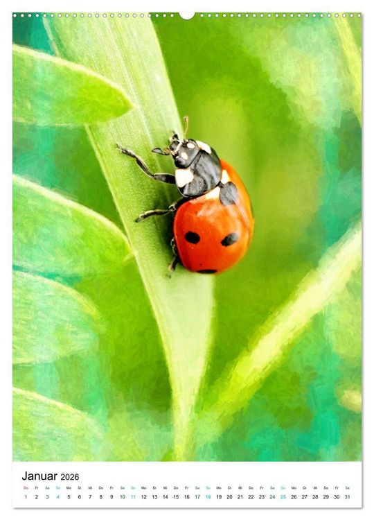 Produktbild: Sommergl&uuml;ck - Artwork (Wandkalender 2026 DIN A2 hoch), CALVENDO Monatskalender