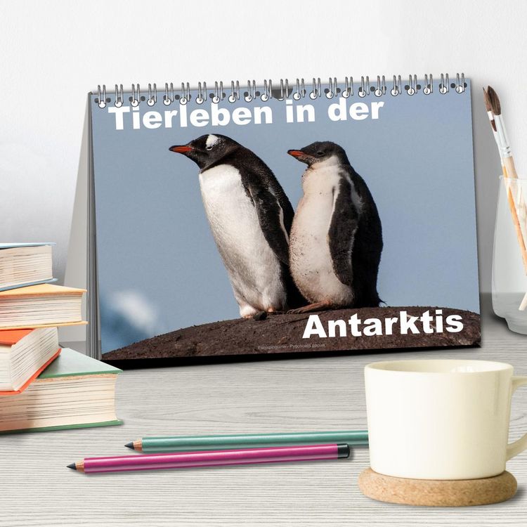 Produktbild: Tierleben in der Antarktis (Tischkalender 2026 DIN A5 quer), CALVENDO Monatskalender