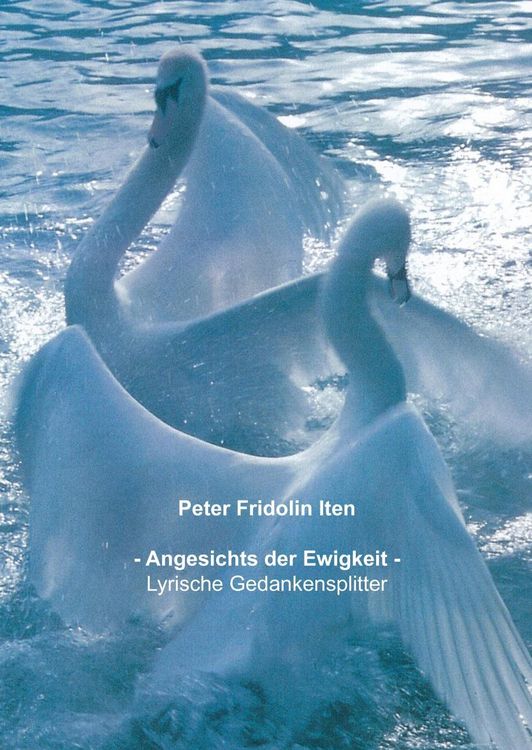 Produktbild: Angesichts der Ewigkeit -