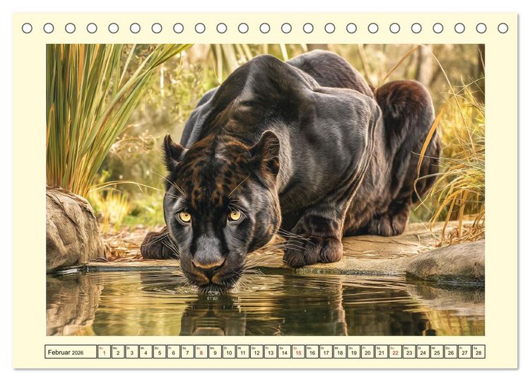 Produktbild: Schwarze Panther. Geheimnisvolle Schatten der Wildnis (Tischkalender 2026 DIN A5 quer), CALVENDO Monatskalender