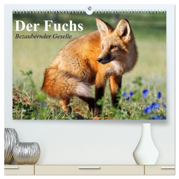 Produktbild: Der Fuchs. Bezaubernder Geselle (hochwertiger Premium Wandkalender 2026 DIN A2 quer), Kunstdruck in Hochglanz