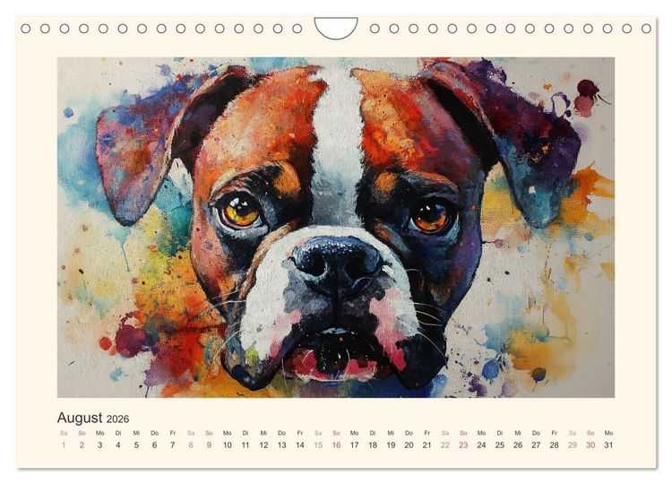 Produktbild: Bunte Boxer (Wandkalender 2026 DIN A4 quer), CALVENDO Monatskalender