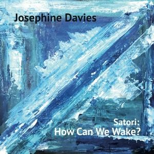 Produktbild: Satori: How Can We Wake?