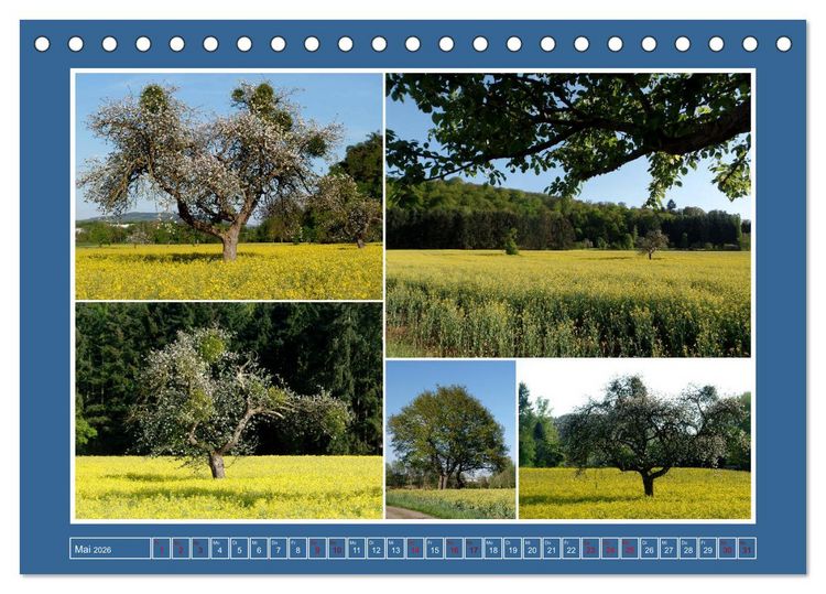 Produktbild: Collagen aus Eifel und Umland 2026 (Tischkalender 2026 DIN A5 quer), CALVENDO Monatskalender