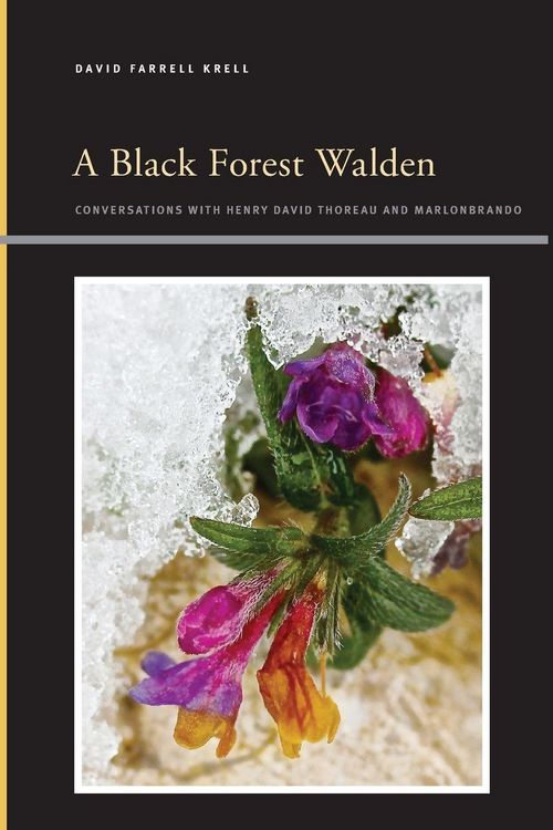 Produktbild: A Black Forest Walden
