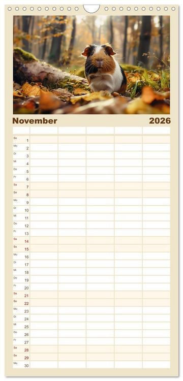 Produktbild: Familienplaner 2026 - Wuschelbande - Ein Jahr voller Meerschweinchen mit 5 Spalten (Wandkalender, 21 x 45 cm) CALVENDO