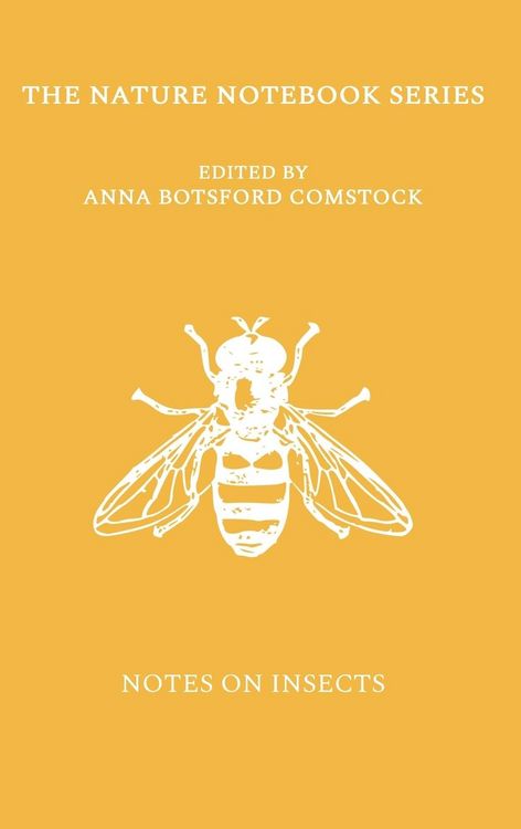 Produktbild: Notes on Insects