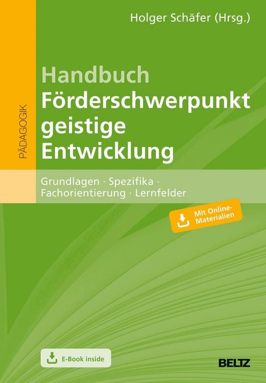 Produktbild: Handbuch F&ouml;rderschwerpunkt geistige Entwicklung