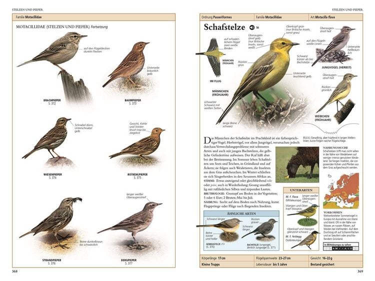 Produktbild: V&ouml;gel in Europa