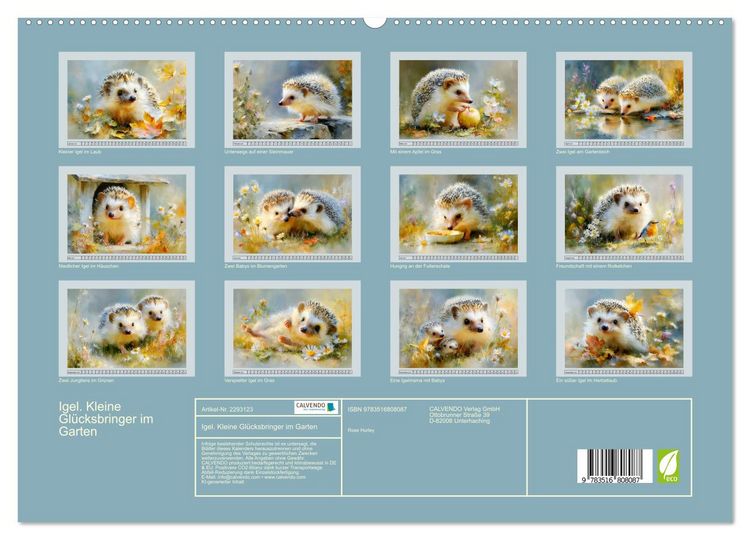 Produktbild: Igel. Kleine Gl&uuml;cksbringer im Garten (hochwertiger Premium Wandkalender 2027 DIN A2 quer), Kunstdruck in Hochglanz