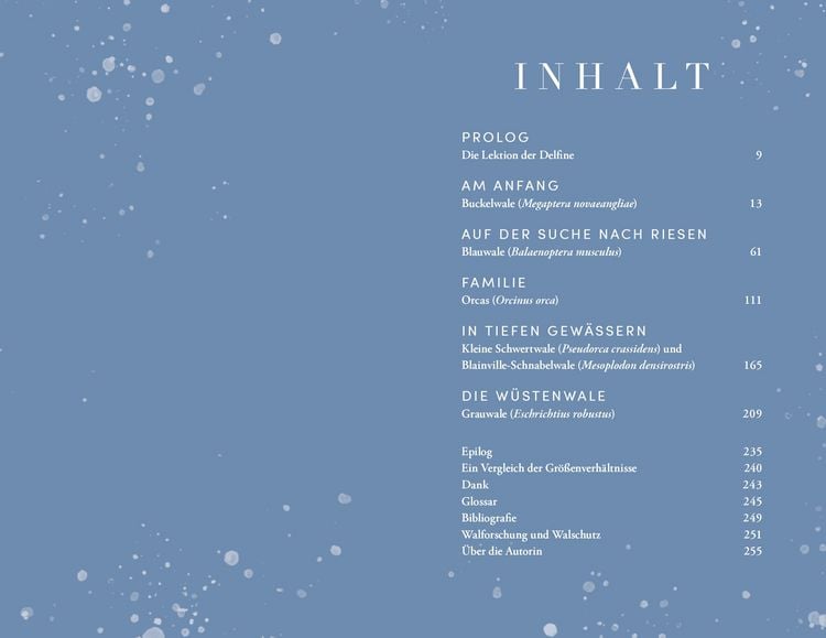 Produktbild: Die Reise der Wale