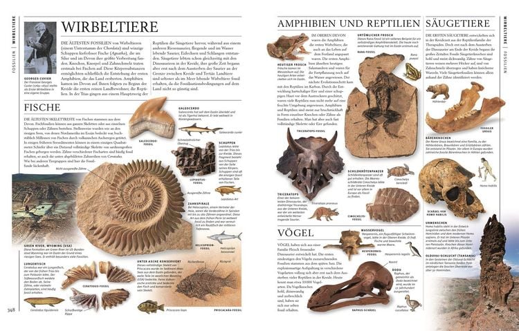 Produktbild: Steine & Mineralien