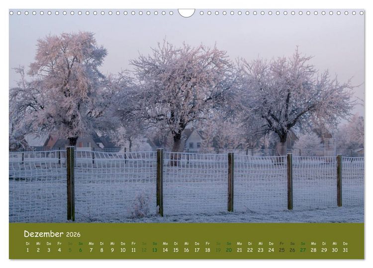 Produktbild: Steink&auml;uze (Athene noctua) (Wandkalender 2026 DIN A3 quer), CALVENDO Monatskalender