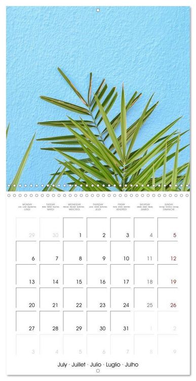 Produktbild: Leaves and flowers of Burano (Wall Calendar 2026 12 &times; 12 Inch) CALVENDO 12 Month Wall Calendar