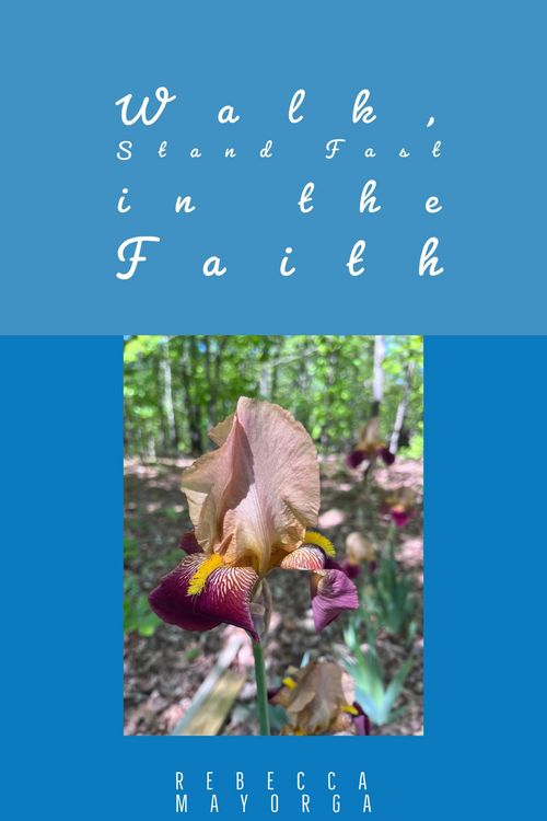 Produktbild: Walk Stand Fast in the Faith