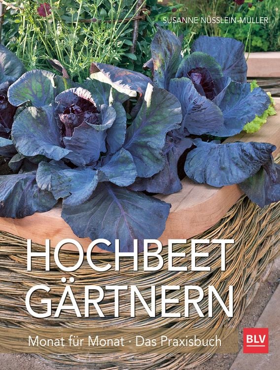 Produktbild: Hochbeet-Gärtnern Monat für Monat