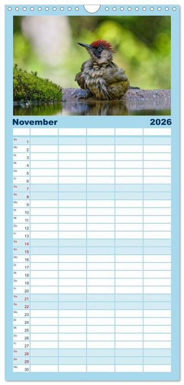 Produktbild: Familienplaner 2026 - Unsere Vogelvielfalt: Ein Schatz zum Entdecken und Sch&uuml;tzen mit 5 Spalten (Wandkalender, 21 x 45 cm) CALVENDO