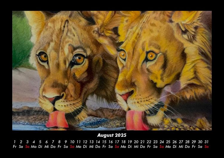 Produktbild: L&ouml;wen in der Wildnis 2025 Fotokalender DIN A3