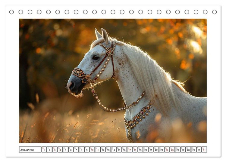 Produktbild: Bezaubernde Eleganz wei&szlig;er Pferde (Tischkalender 2026 DIN A5 quer), CALVENDO Monatskalender