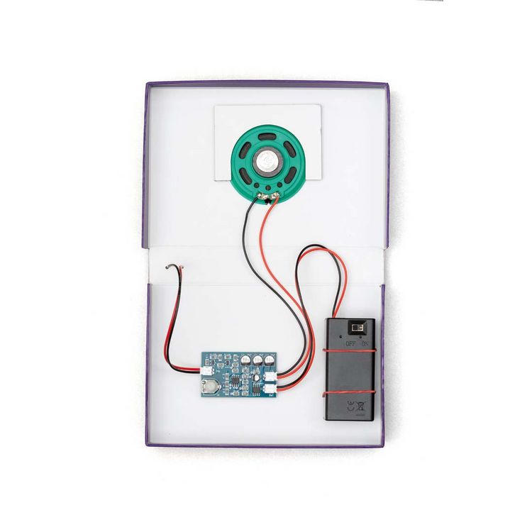 Produktbild: FRANZIS 67248 - CheXperiment Fledermaus-Check