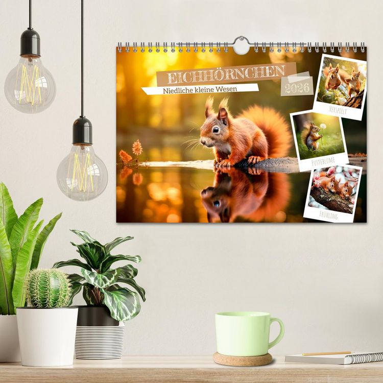 Produktbild: EICHH&Ouml;RNCHEN Niedliche kleine Wesen (Wandkalender 2026 DIN A4 quer), CALVENDO Monatskalender