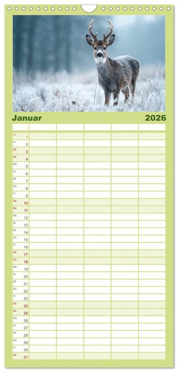 Produktbild: Familienplaner 2026 - HIRSCHE UND REHE - Ein Jahr in freier Wildbahn mit 5 Spalten (Wandkalender, 21 x 45 cm) CALVENDO