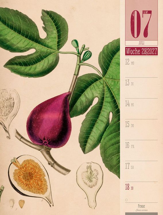 Produktbild: Culinarium Wochenplaner Kalender 2027 | K&uuml;che, Kr&auml;uter, Kurioses