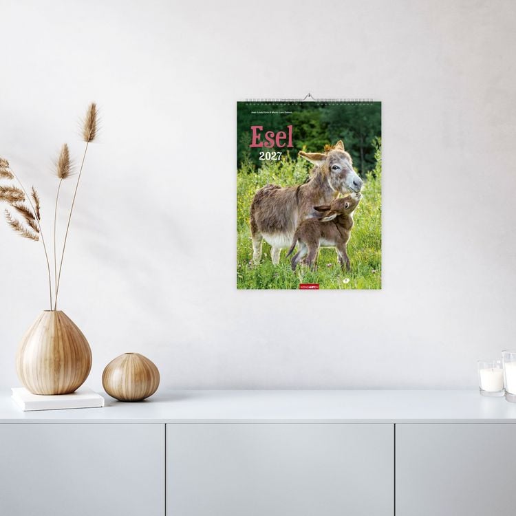 Produktbild: Esel Kalender 2027