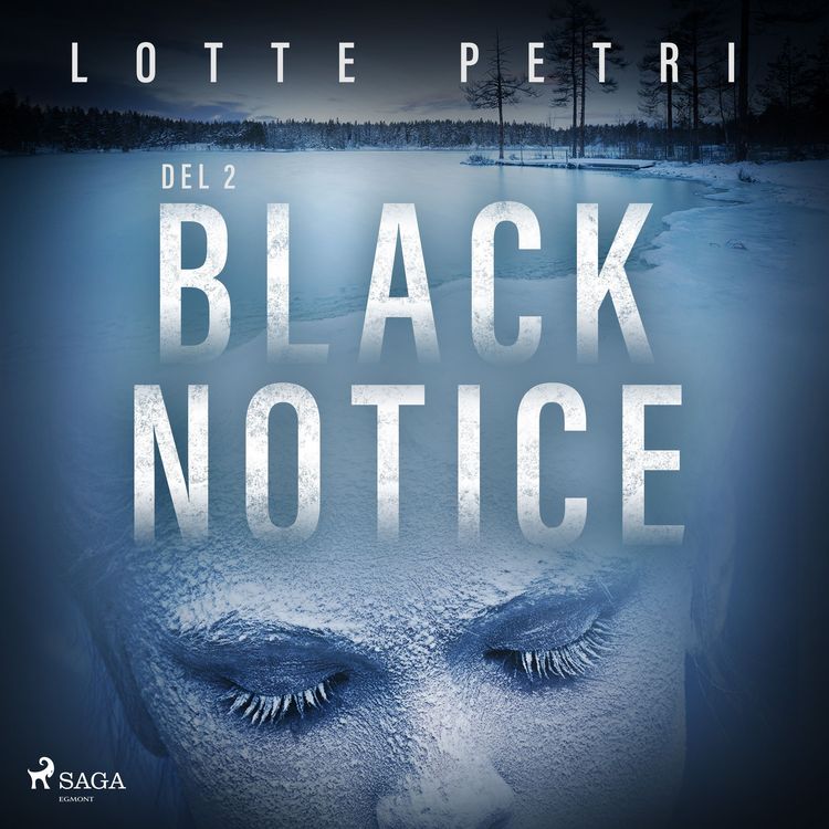 Produktbild: Black Notice del 2