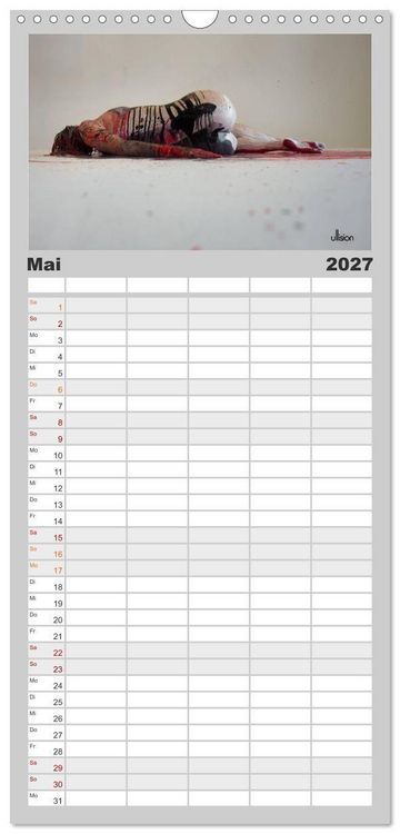 Produktbild: Familienplaner 2027 - FARBSPIELE - Akt im Feuerwerk der Farben mit 5 Spalten (Wandkalender, 21 x 45 cm) CALVENDO