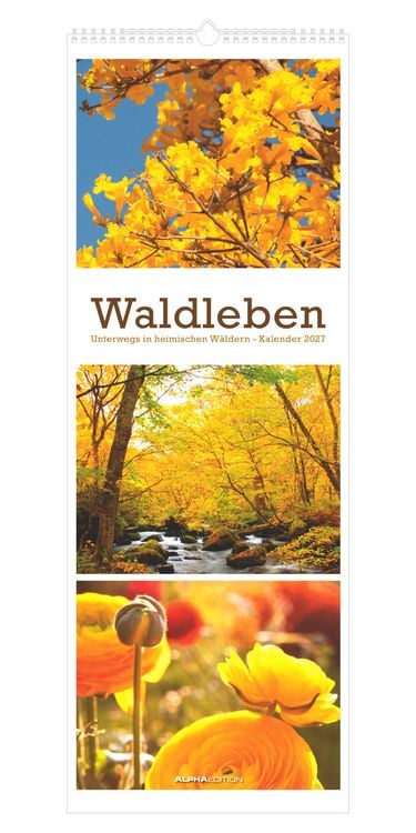 Produktbild: Waldleben - Triplets 2027