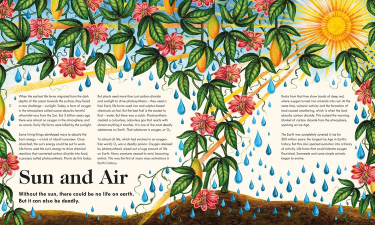 Produktbild: The Wonder of Life on Earth