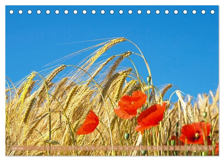 Produktbild: Whisky: Reine Geschmacksache (Tischkalender 2026 DIN A5 quer), CALVENDO Monatskalender