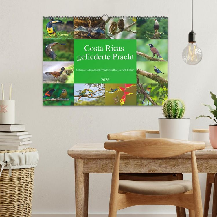 Produktbild: Costa Ricas gefiederte Pracht (Wandkalender 2026 DIN A3 quer), CALVENDO Monatskalender