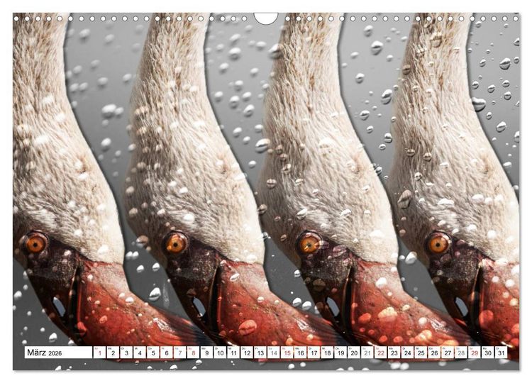 Produktbild: Emotionale Momente: African Dreams (Wandkalender 2026 DIN A3 quer), CALVENDO Monatskalender
