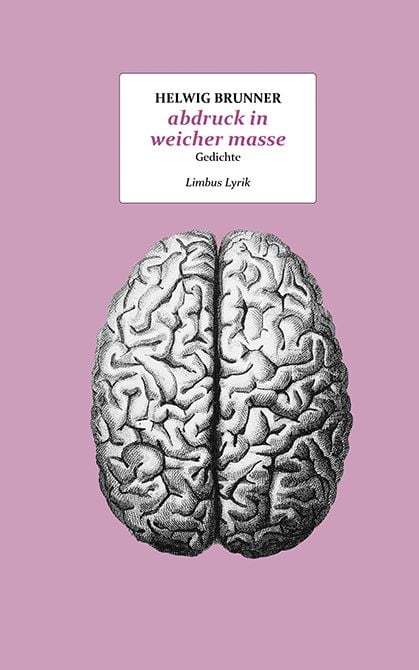 Produktbild: Abdruck in weicher masse