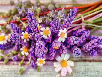 Produktbild: CALVENDO Puzzle Nat&uuml;rlich entspannen - mit dem Duft des Lavendels. | 1000 Teile Lege-Gr&ouml;&szlig;e 64x48cm Foto-Puzzle f&uuml;r gl&uuml;ckliche Stunden