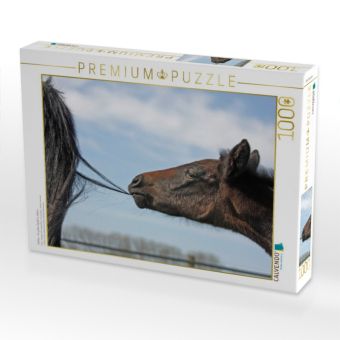 Produktbild: CALVENDO Puzzle Fohlen - f&uuml;r jeden Spa&szlig; zu haben | 1000 Teile Lege-Gr&ouml;&szlig;e 64x48cm Foto-Puzzle f&uuml;r gl&uuml;ckliche Stunden