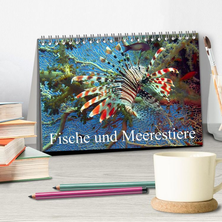 Produktbild: Fische und Meerestiere (Tischkalender 2026 DIN A5 quer), CALVENDO Monatskalender