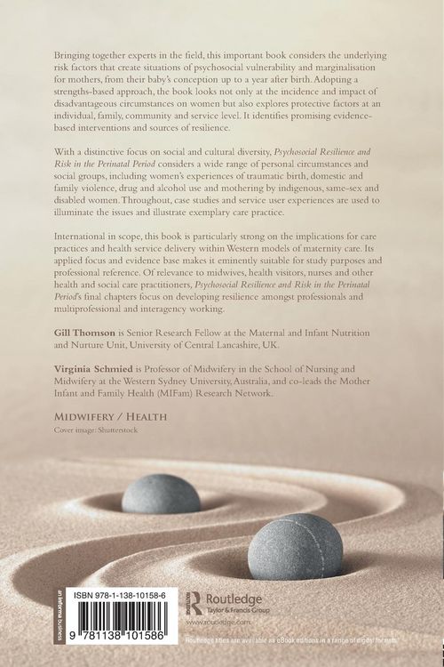 Produktbild: Psychosocial Resilience and Risk in the Perinatal Period