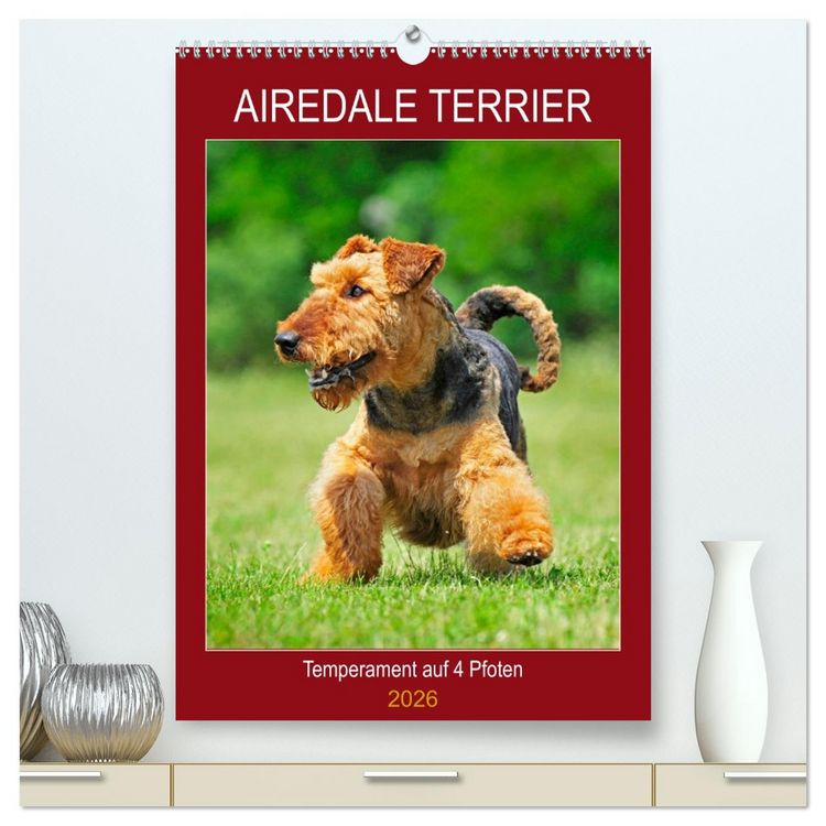 Produktbild: Airedale Terrier - Temperament auf 4 Pfoten (hochwertiger Premium Wandkalender 2026 DIN A2 hoch), Kunstdruck in Hochglanz
