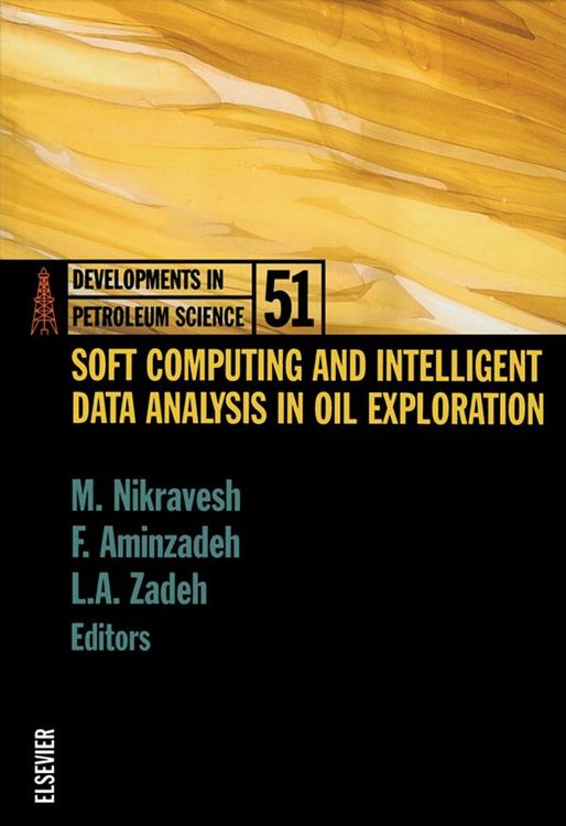 Produktbild: Soft Computing and Intelligent Data Analysis in Oil Exploration