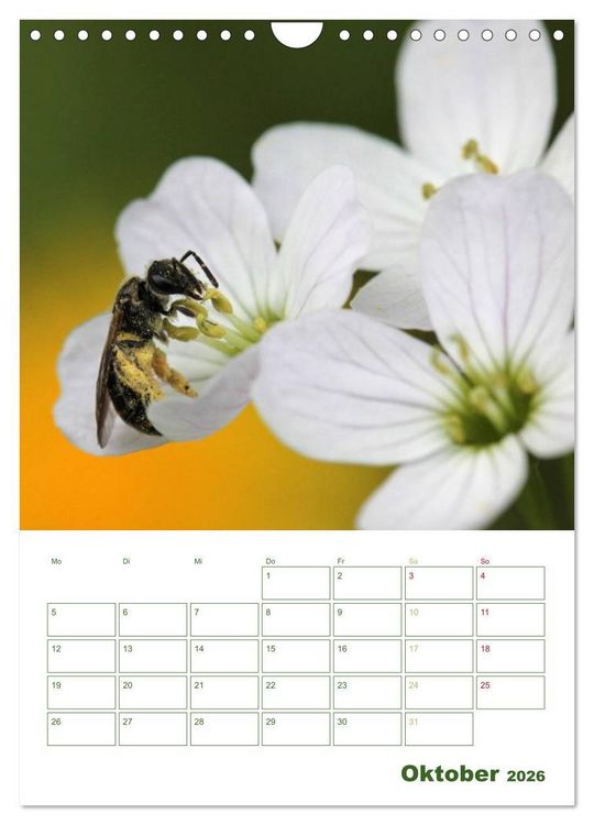Produktbild: Bienen-Terminplaner 2026 (Wandkalender 2026 DIN A4 hoch), CALVENDO Monatskalender