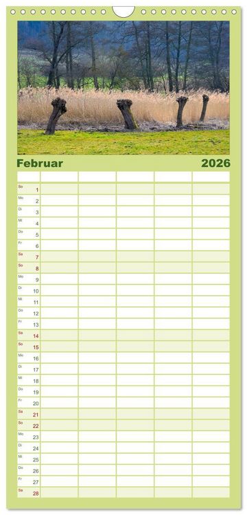 Produktbild: Familienplaner 2026 - B&auml;ume 2026 mit 5 Spalten (Wandkalender, 21 x 45 cm) CALVENDO