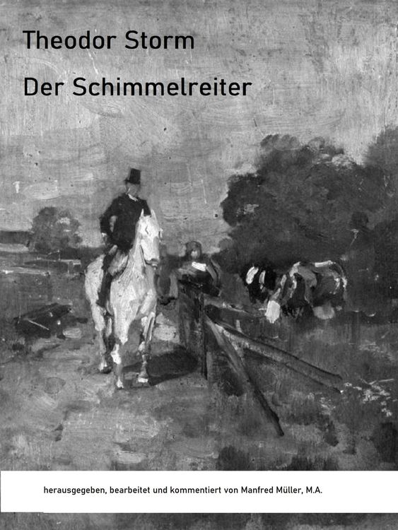 Produktbild: Der Schimmelreiter
